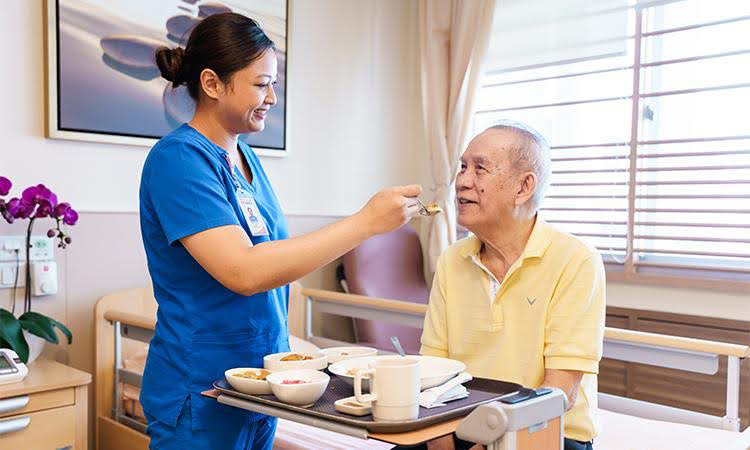 Caregiver assisting an elderly client at home